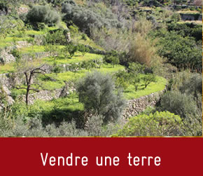 Terre de liens Corsica - Terra di u cumunu - Vendre une terre